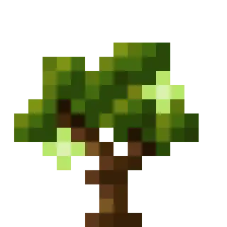 Pam's Harvestcraft Trees Always Produce Fruit in Botany Pots