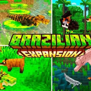 Brazil Expansion