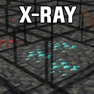 Spectra X Ray