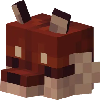 Lanostry's foxes x Fresh animations
