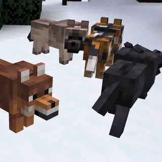 Better Wolf Variants