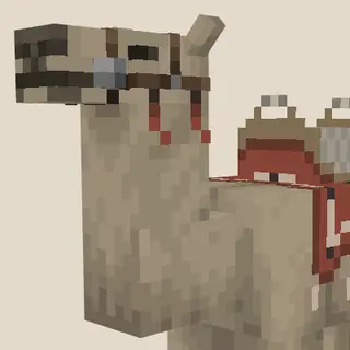 Camelos