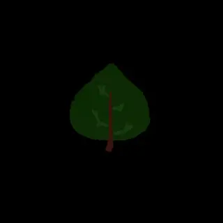Druid (Origin)