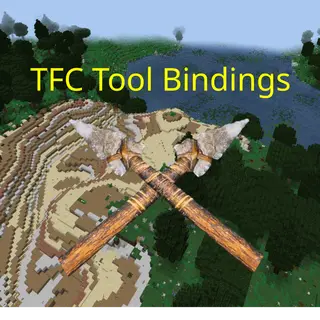 TFC tool bindings