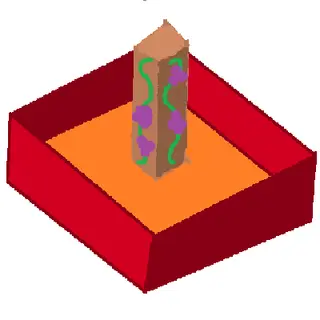 VineryBotany