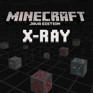 Xray Java