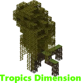 Tropics Dimension