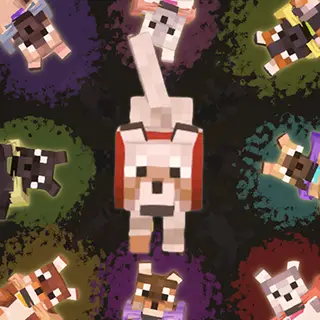 Doggy Talents Next X New Wolves 