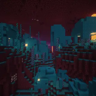 Warped Forest Panorama
