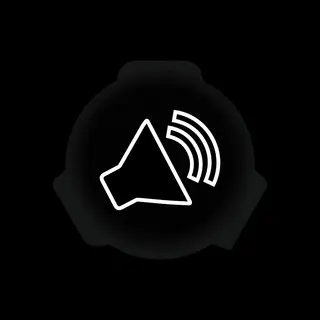 RSgauge Alarm replacement