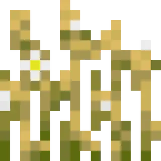 Flowering Crops
