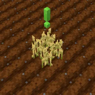 kruemelig's Exclamation mark over plants