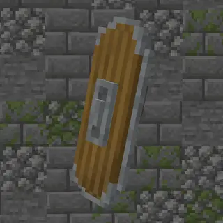 Medieval Shield