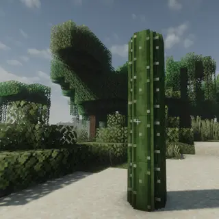 Round Cacti