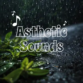 Aesthetic Sounds | A Sound Pack