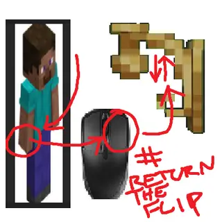 Return The Flip