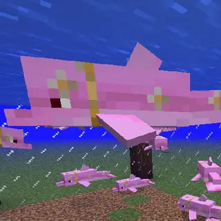 Pink dolphins