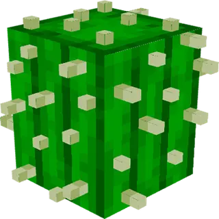 Plump Plants