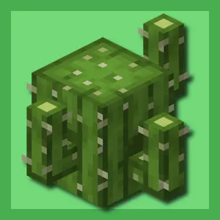 Oaks Better Cactus