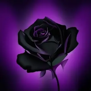 SR BlackRose PVP