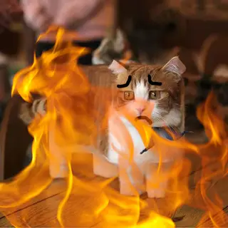 Cat+Fox Spawn Effects