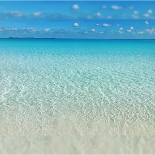 Tropical Waters