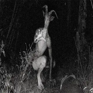 Goatman Sound Remake