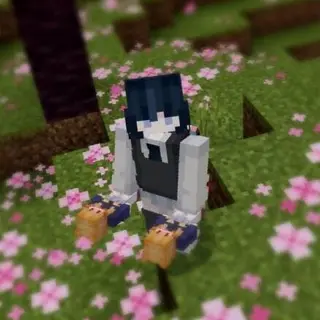 Player Skin Totem Generator