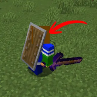 Back Shield