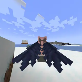 BB's Wings Elytra Crow