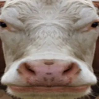 Realistic Cow