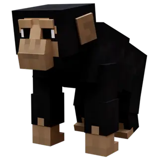 Real Animals