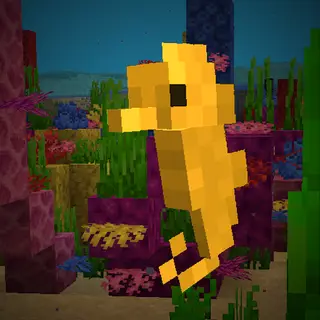 Sea Horses
