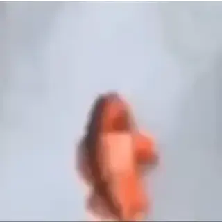 Family Guy Fish Meme