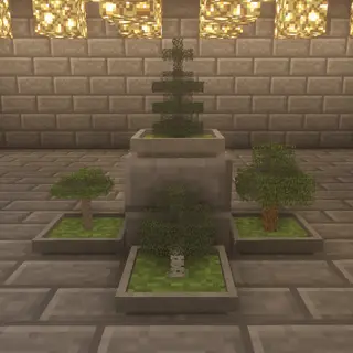 Bonsai Trees Default HD