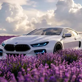 BMW Blossom GUI