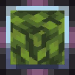 Fast Leaves