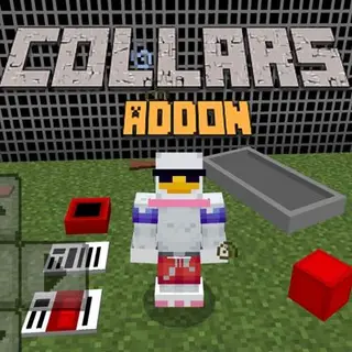 Collars