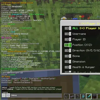EuForia Bedrock Debug