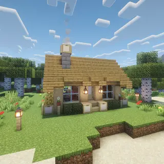Simple Birch Starter House
