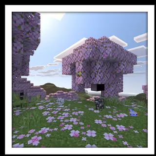 Vibrant Visuals Panorama