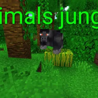 Animals jungle pack