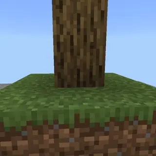 New skyblock challenge