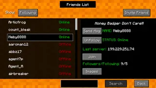 FriendsForMinecraft