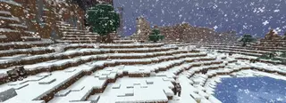 Snowfall