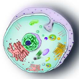 BioTek - (DNA,Cells,Organs & More)