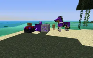 Purple Pack
