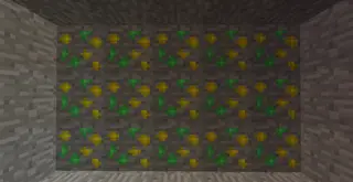 B0bGary's Exp Ore!