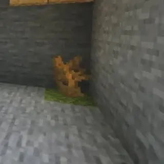 The World of Stone