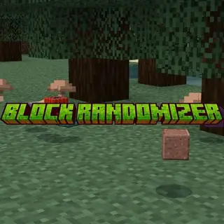 Block Randomizer